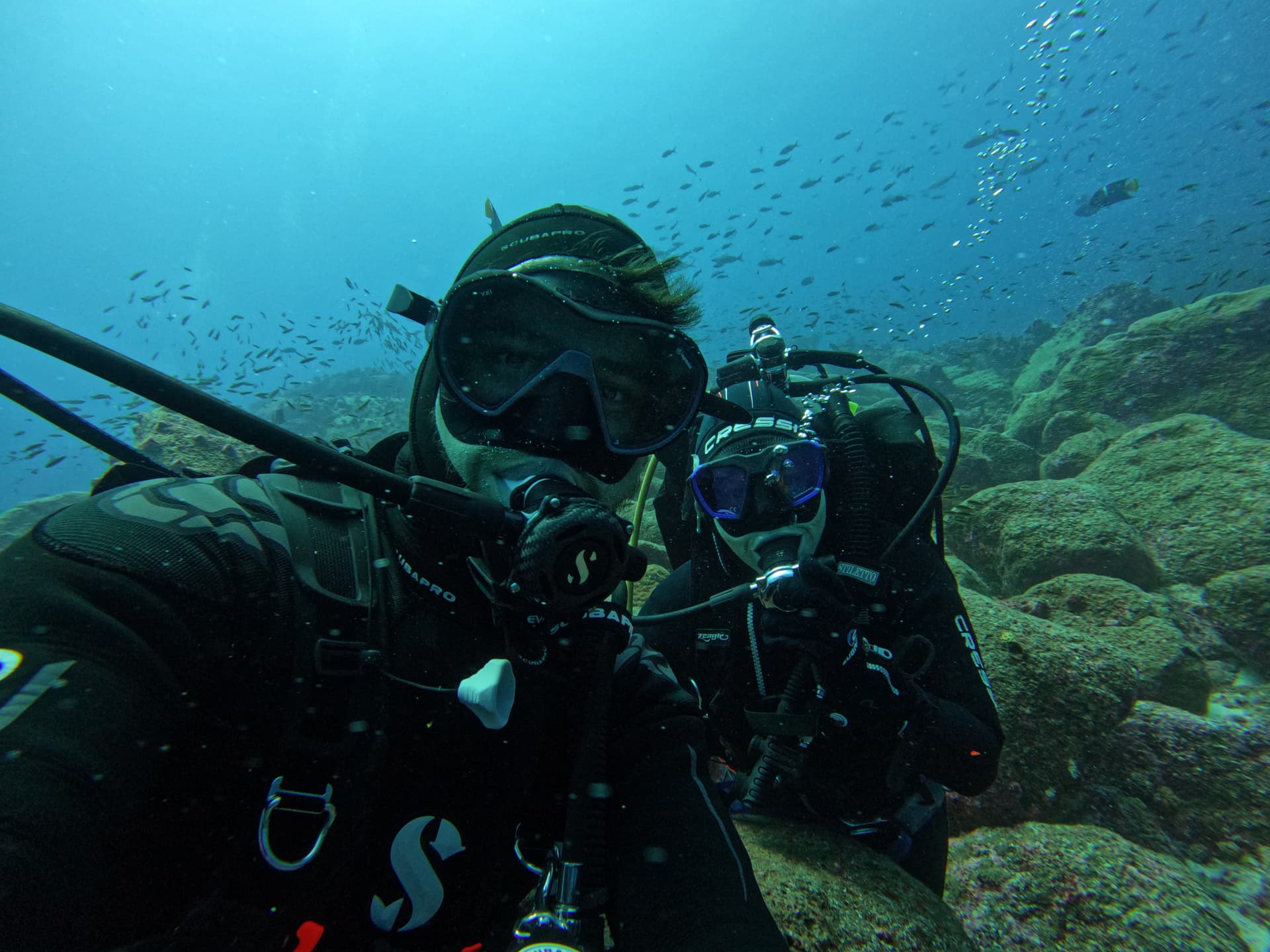 Lionfish Scuba